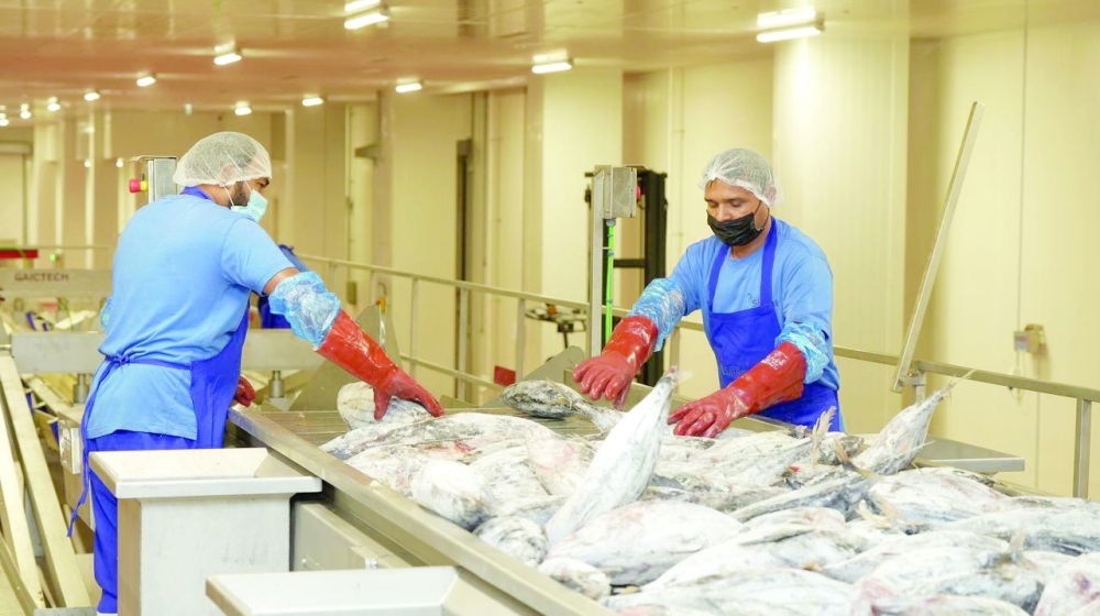 Al Wusta tops the list in terms of artisanal fishing output in 2025.