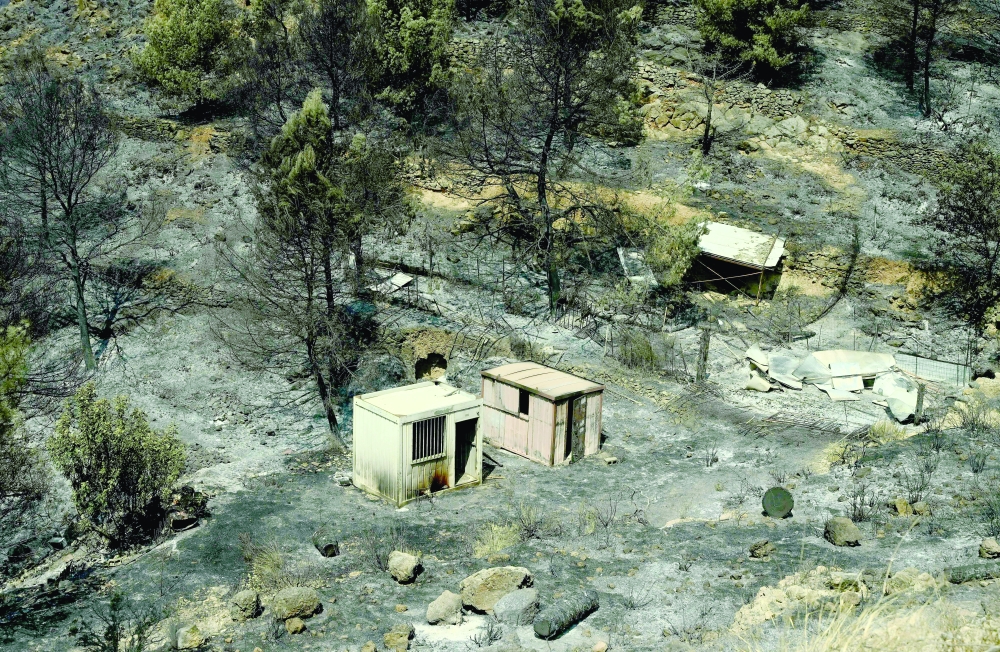 This picture shows a scorched area after a wildfire raged in La Vall d'Uixo, 55 km north-east of Valencia 