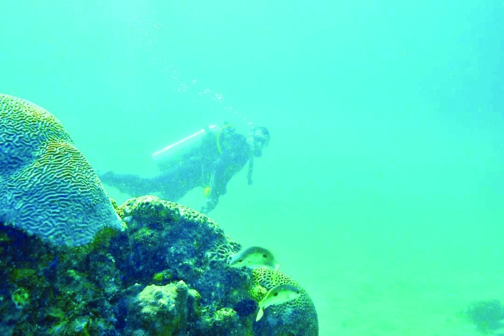Coral reefs in Musandam are among the most prominent marine ecosystem