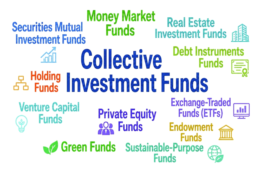 The new regulations empower the Financial Services Authority (FSA) to license and supervise a diverse range of collective investment funds