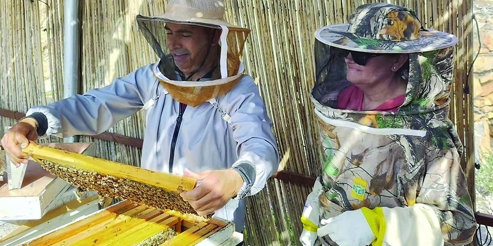 Ali bin Mohammed al Abri, the founder, noted that the apiary was established in 2015, coinciding with the rising number of visitors to Misfat Al Abriyeen.