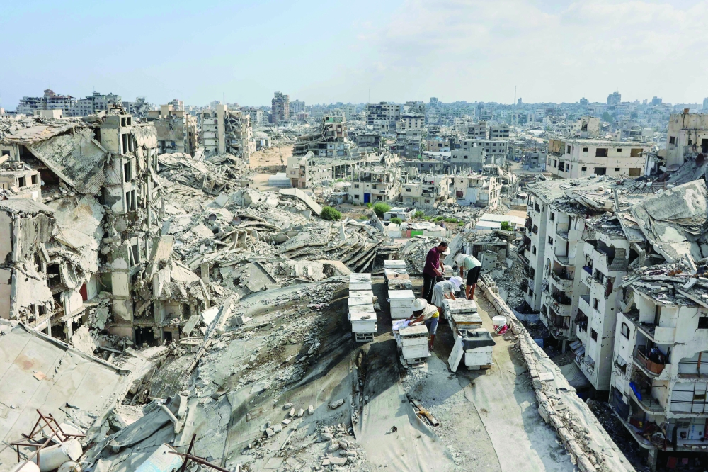 Ibrahim al Dabba, head of the Beekeepers Cooperative in the Gaza Strip, tends to beehives with his sons on the roof of a destroyed building in Gaza City's Tel Al Hawa neighbourhood, where the displaced family has taken refuge, on Wednesday. 