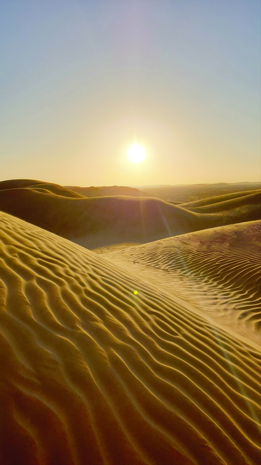 Golden-hour light over rolling sand dunes