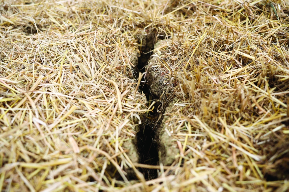 Dry and cracked earth is pictured at Shimpling Park Farm in Bury St Edmunds, eastern England.