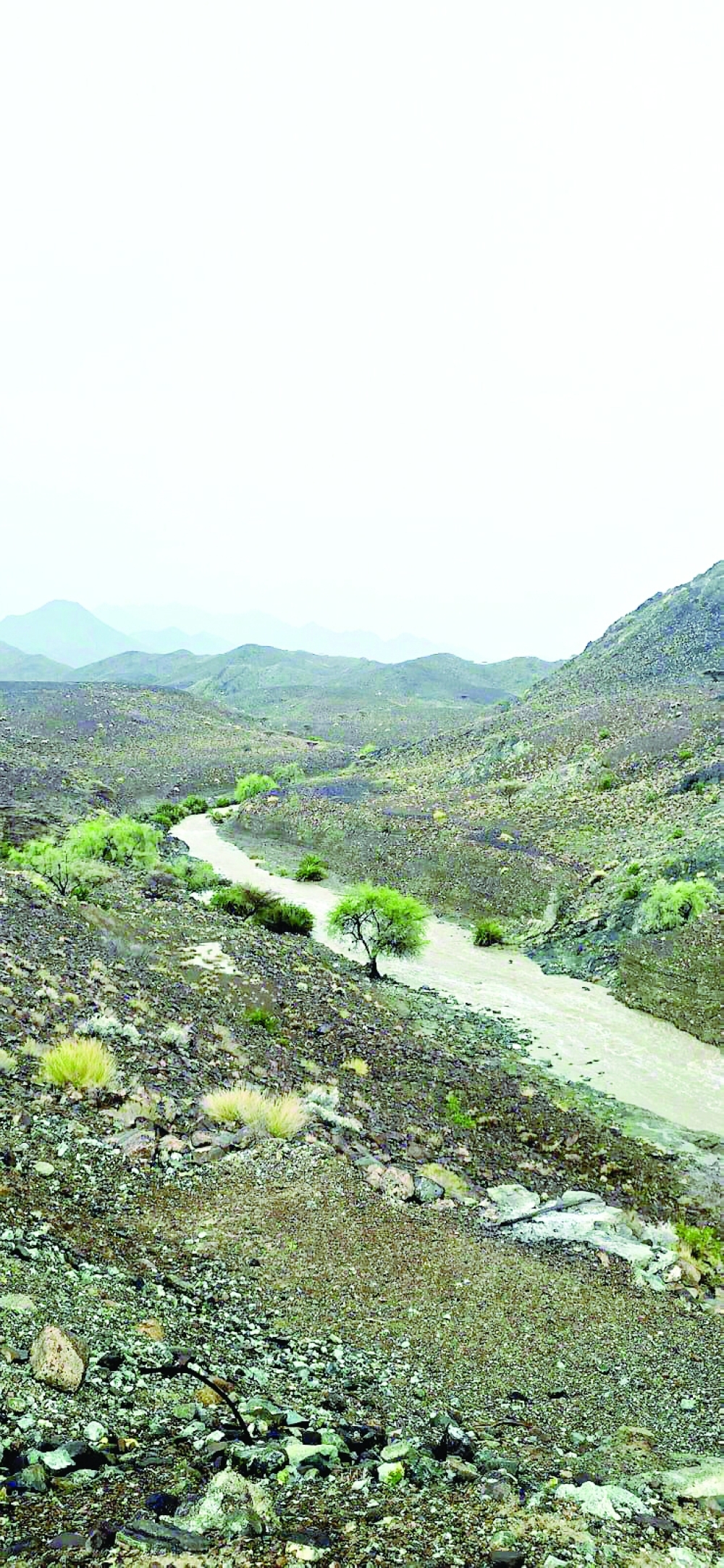 Parts of the Dhofar Governorate’s coast and adjacent mountains experienced heavy drizzle.