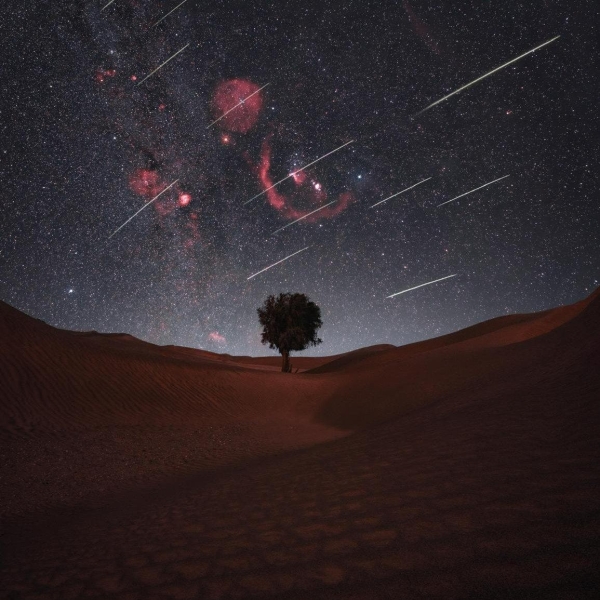 Perseiden-Meteorstrom erleuchtet den Himmel über Oman