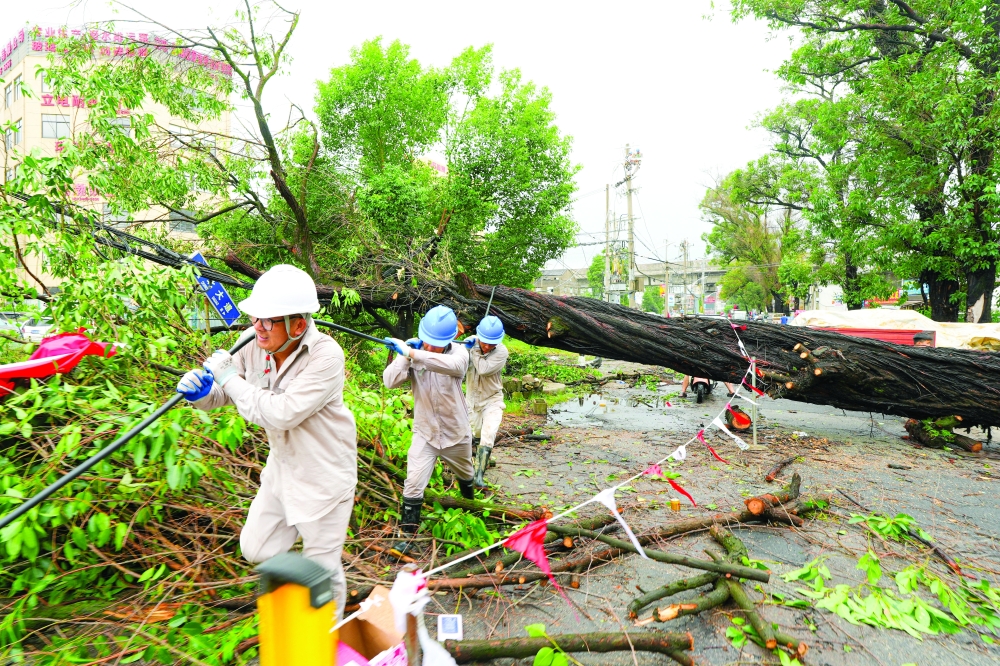 Power restoration workers clear a fallen tree and restring power lines in Zhejiang province, China. — Reuters 