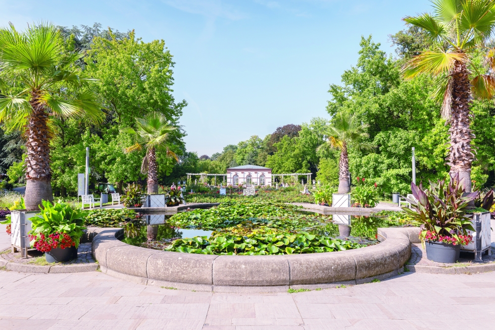 A peaceful corner of Palmengarten, where lush greenery and elegant garden design invite quiet moments  