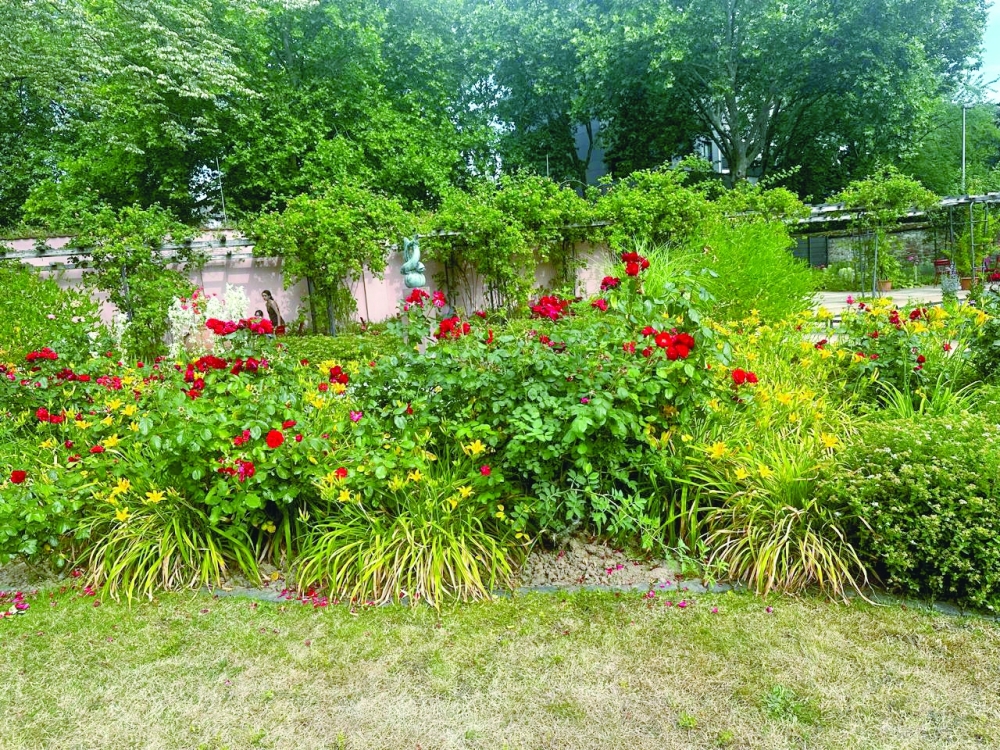 Colourful summer flower beds with vibrant roses and daylilies in Bethmannpark 