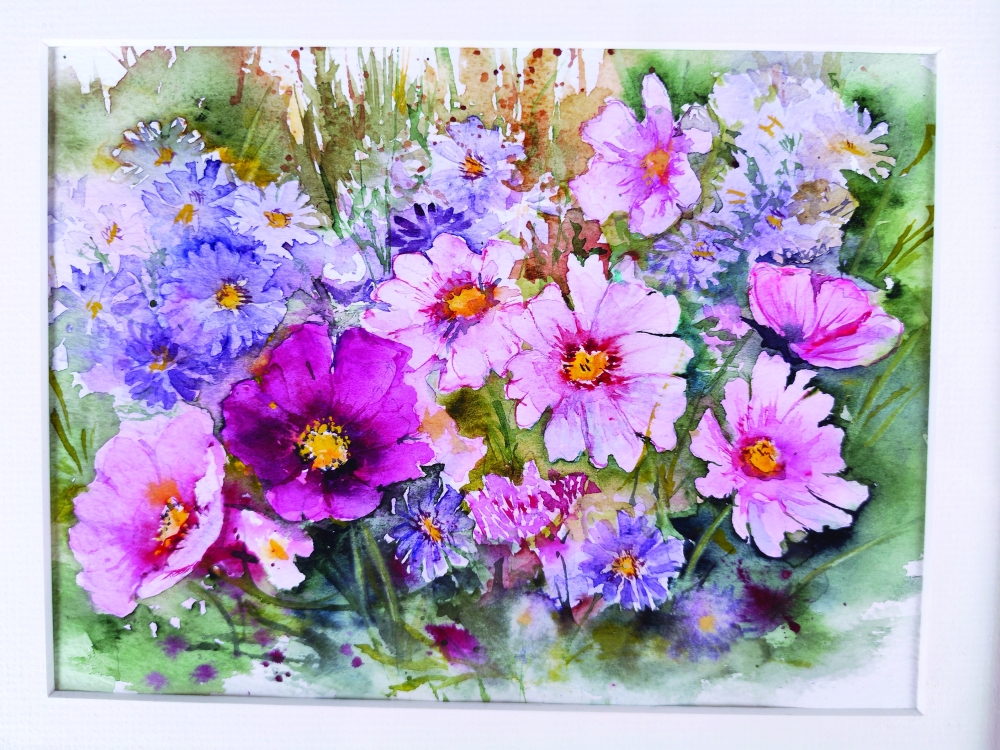 A burst of pink and purple cosmos