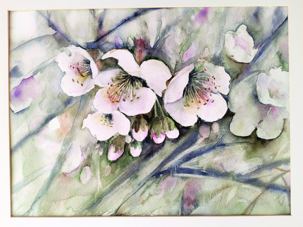 Delicate white cherry blossoms on soft spring branches