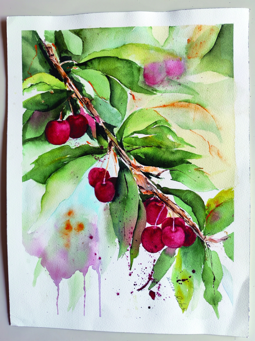 Fresh red cherries hanging from a leafy branch