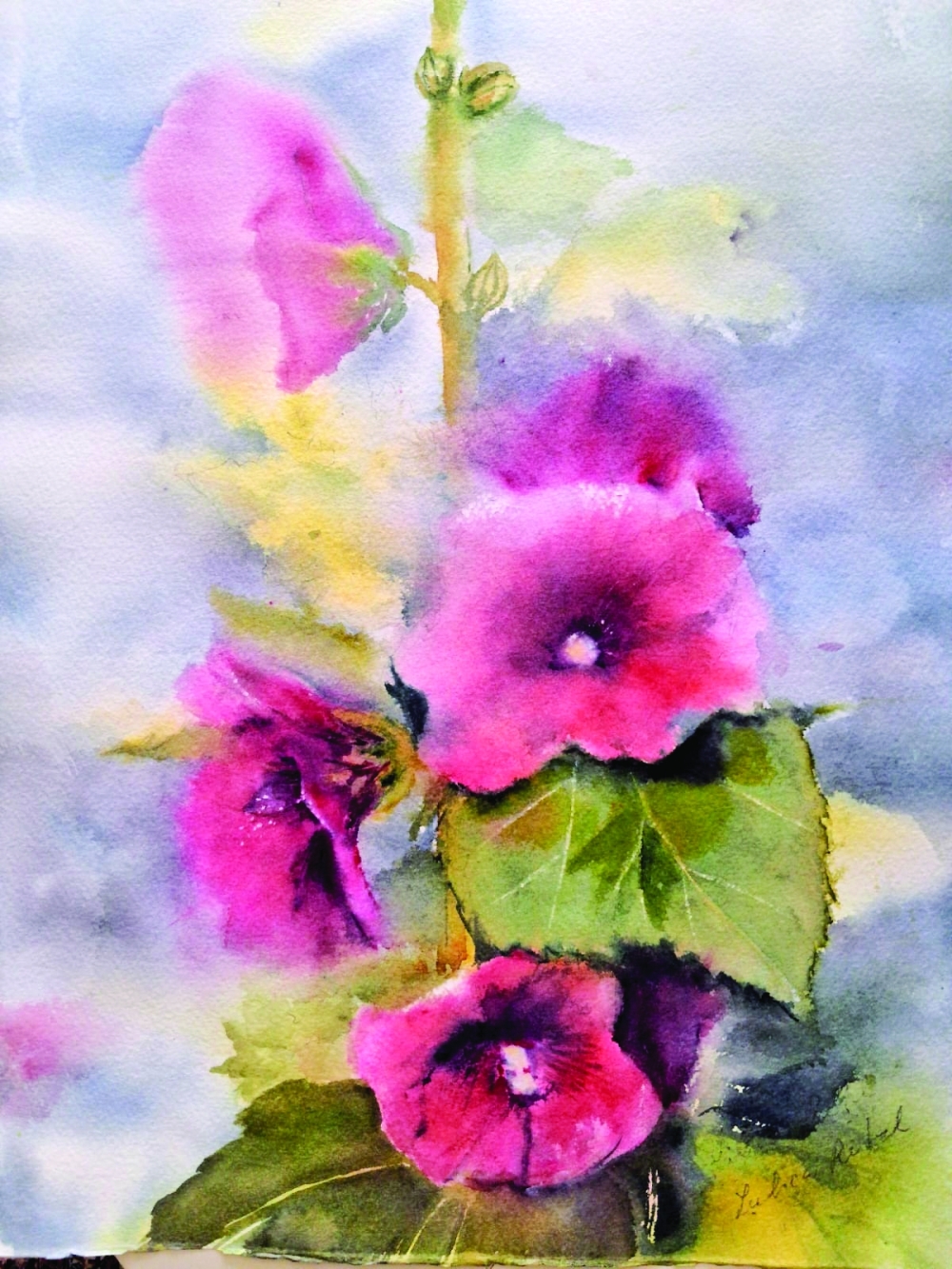 Soft pink and deep magenta hollyhocks captured in delicate watercolour washes