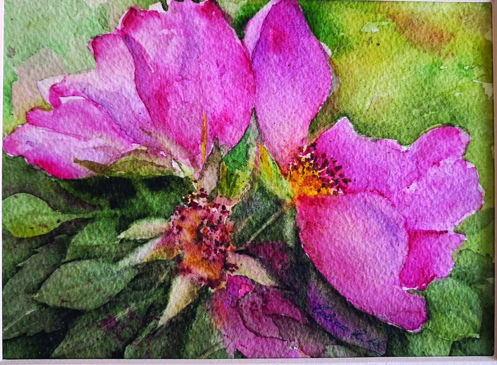 Soft pink roses in full bloom against lush green leaves