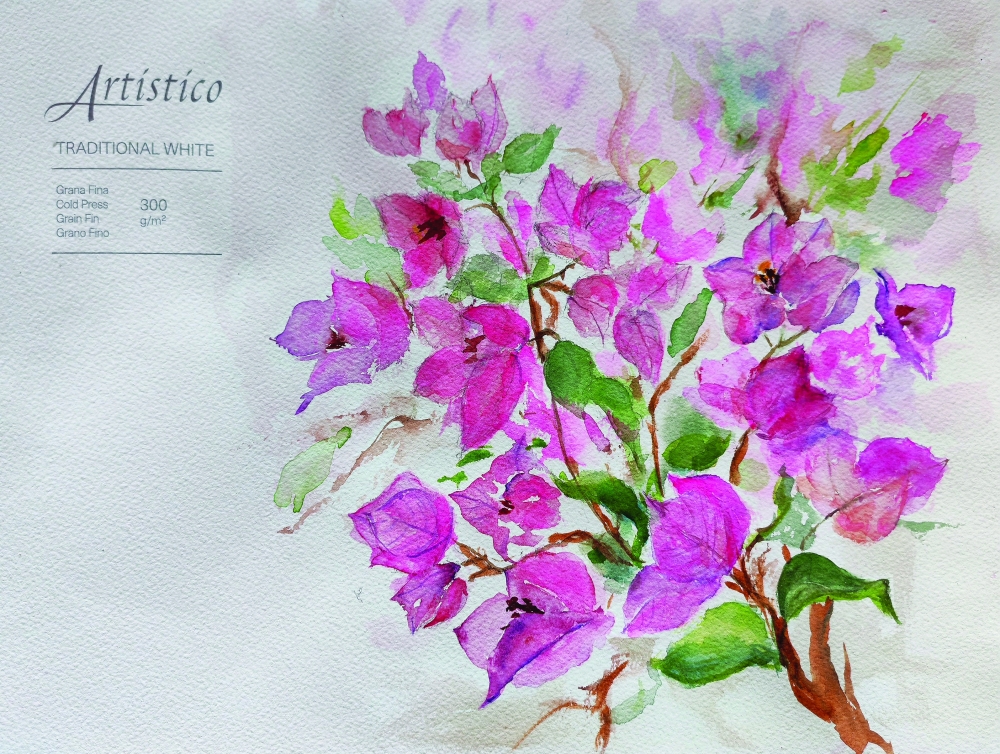 Vibrant pink bougainvillea in full bloom