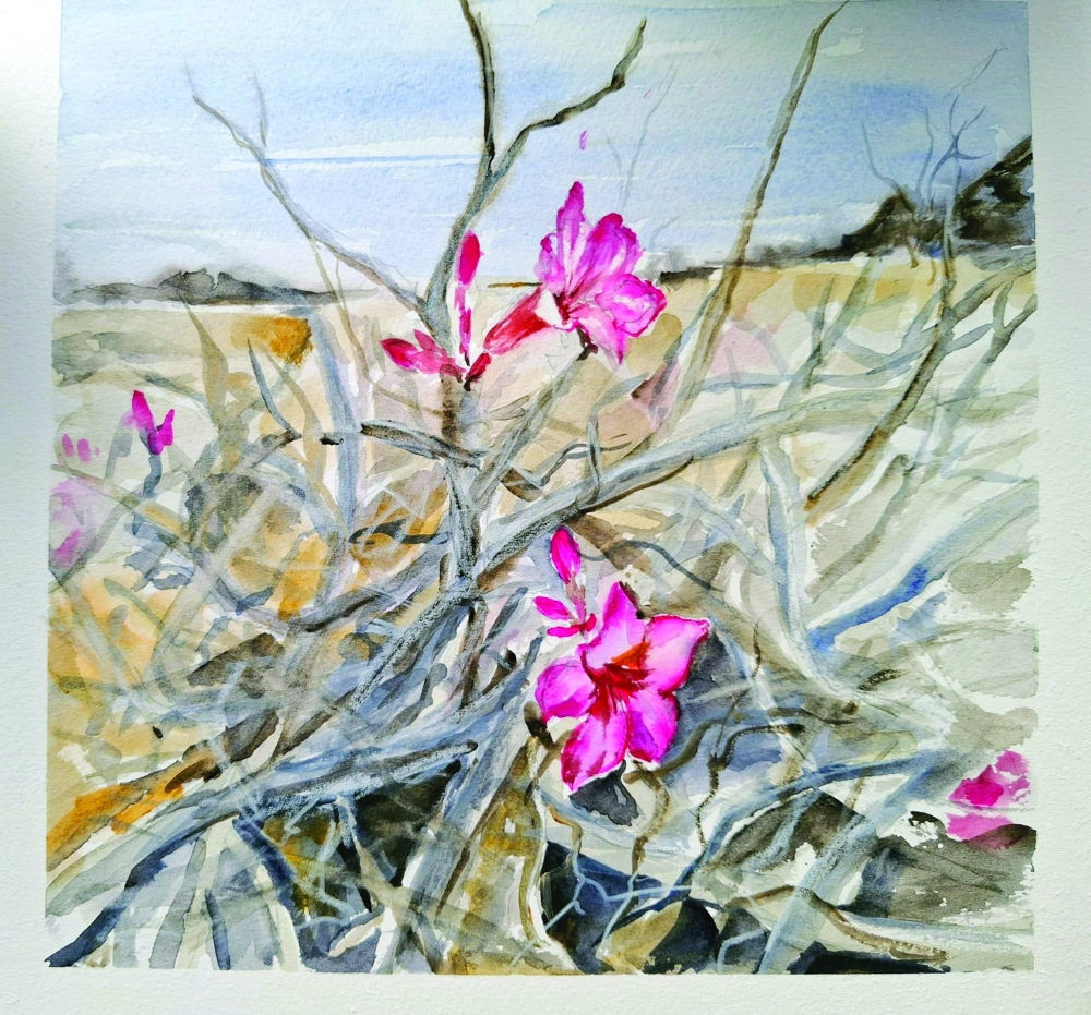 'Desert Roses of Dhofar'