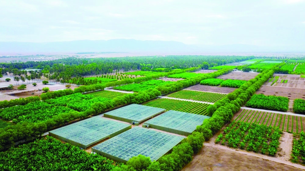 Razat Farm