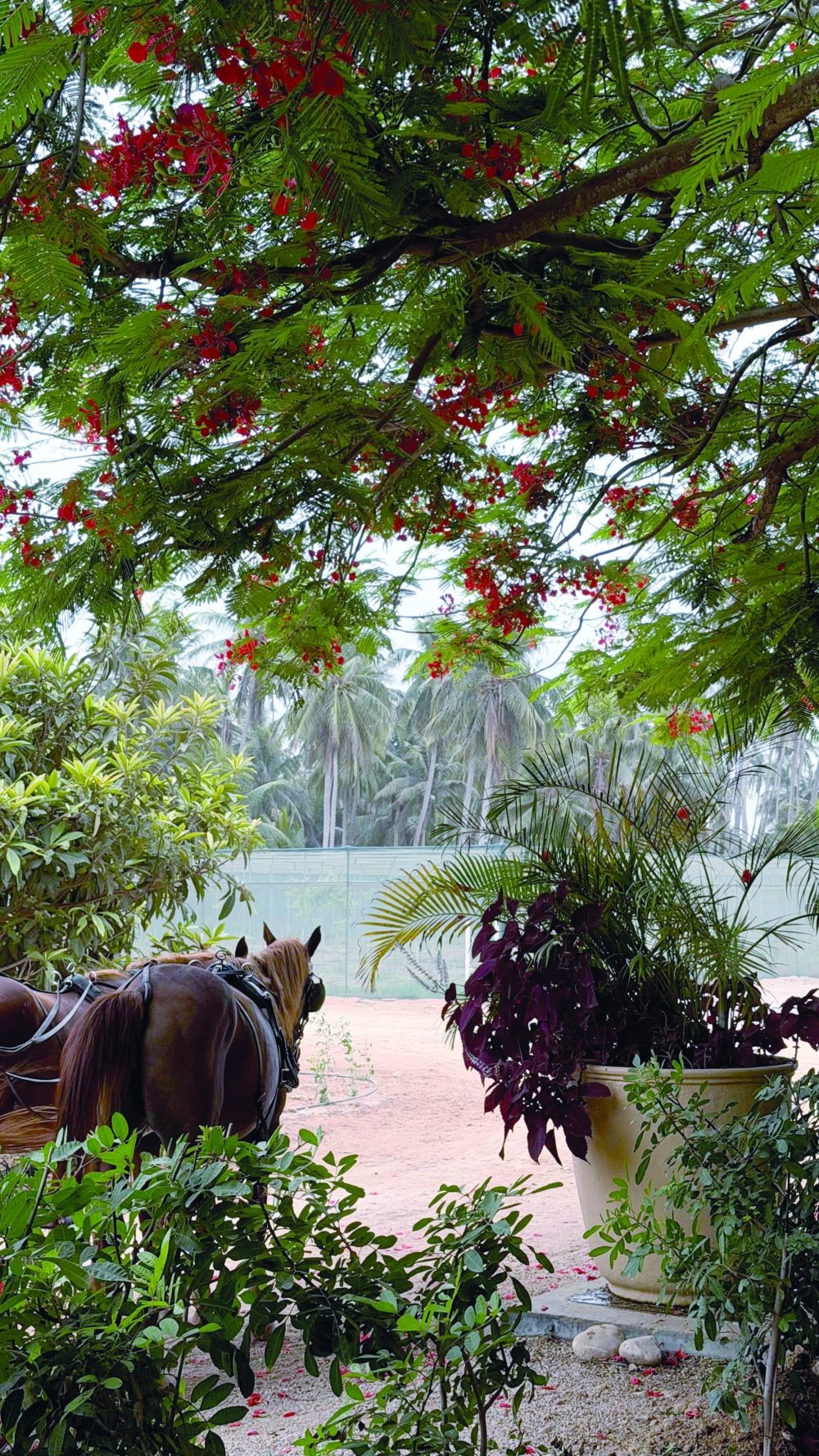 Razat Farm