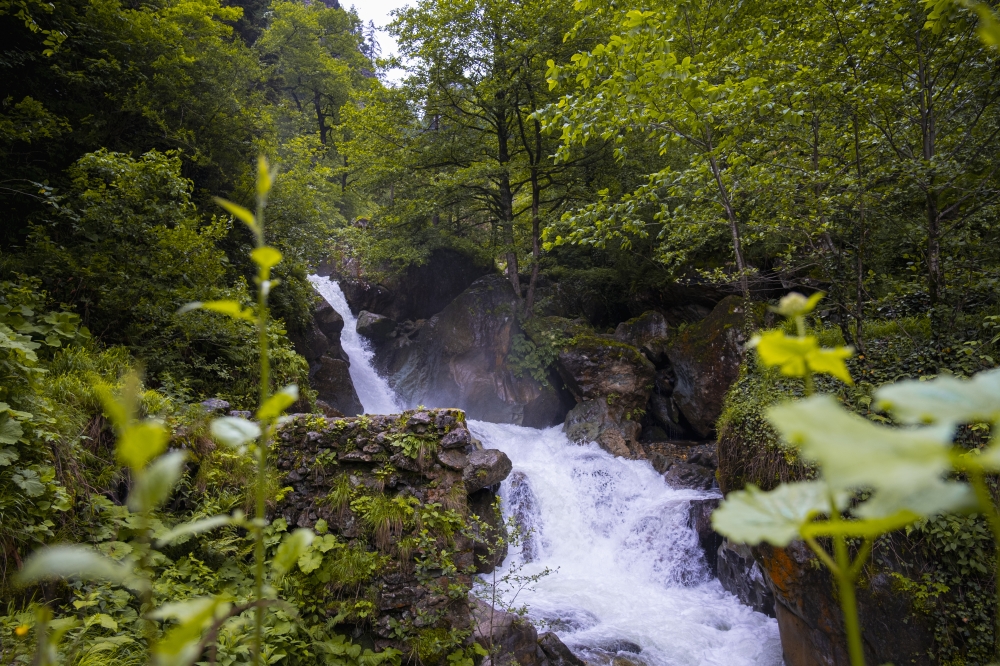 Trabzon Altındere Valley National Park
