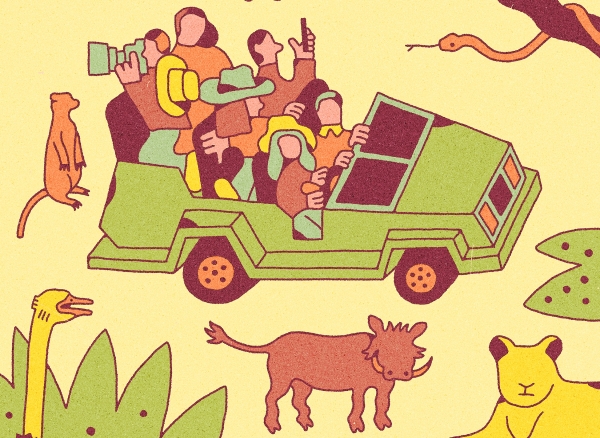 How to plan an African safari