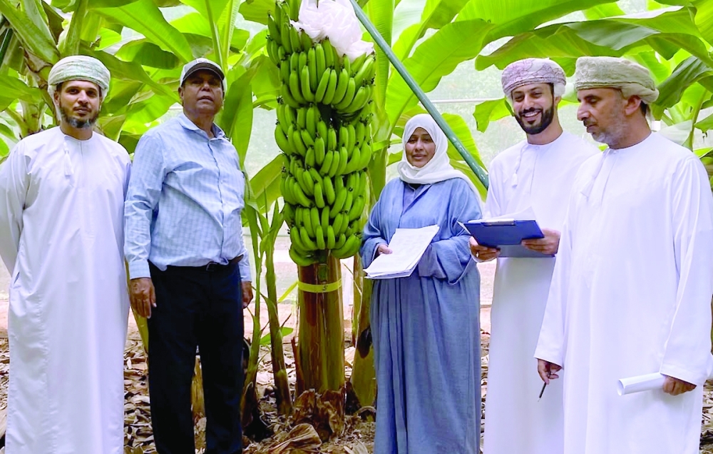 The registration of the variety follows the completion of the necessary technical examinations and tests in accordance with the approved rules and guidelines for novelty, distinctness, and stability testing of plant varieties. — ONA