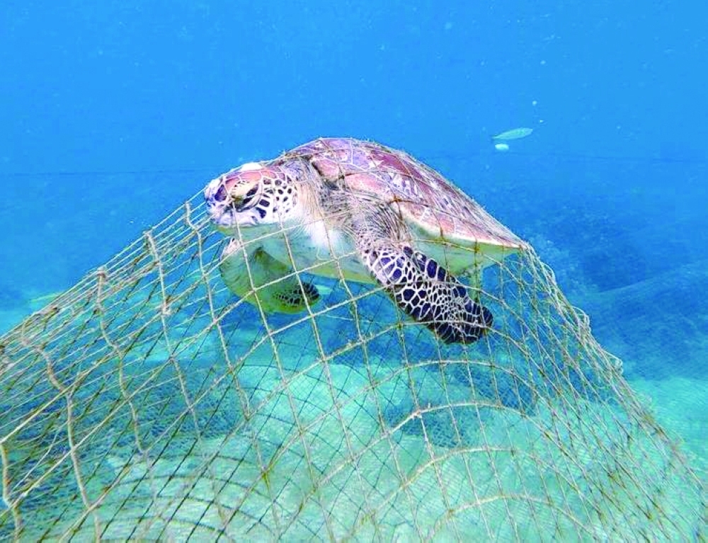 Fishermen and sea users have been urged to refrain from abandoning fishing nets and equipment in the marine environment.