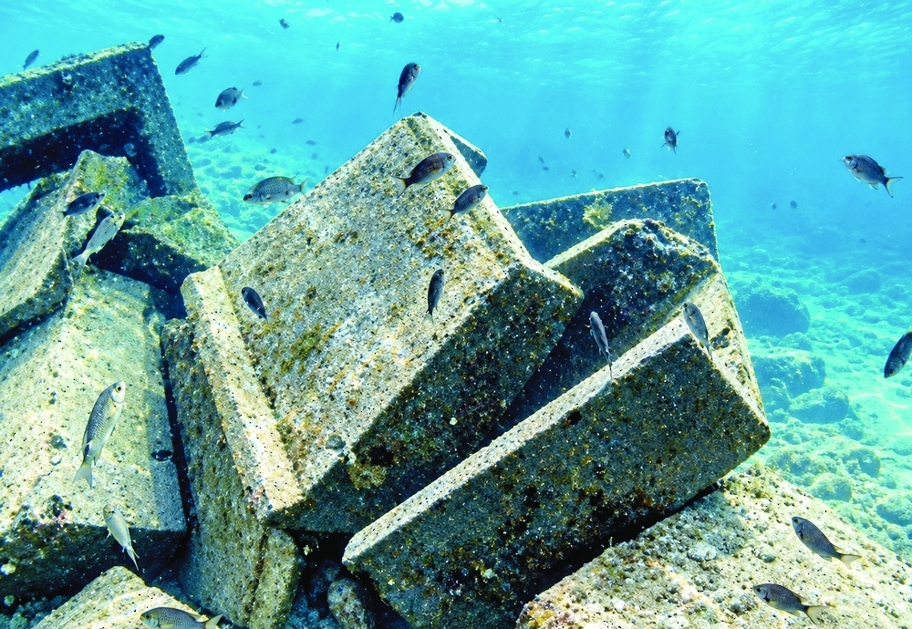 The project's significance lies in enhancing the marine environment.