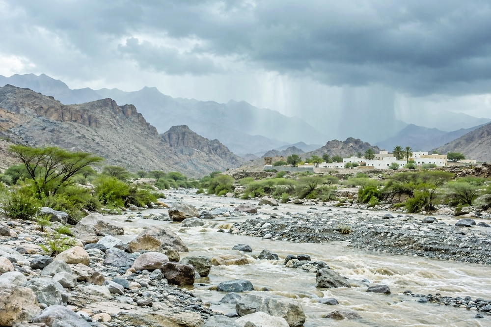The phenomenon was linked to increased rainfall and moisture particularly in northern parts of Oman.