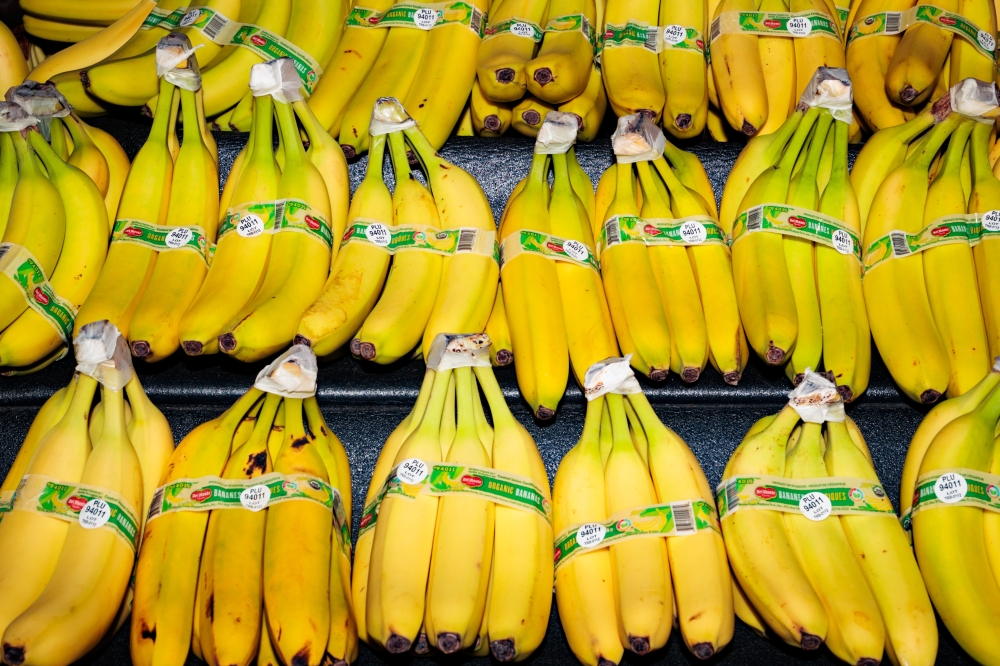 BANANA BUSINESS WAR 1