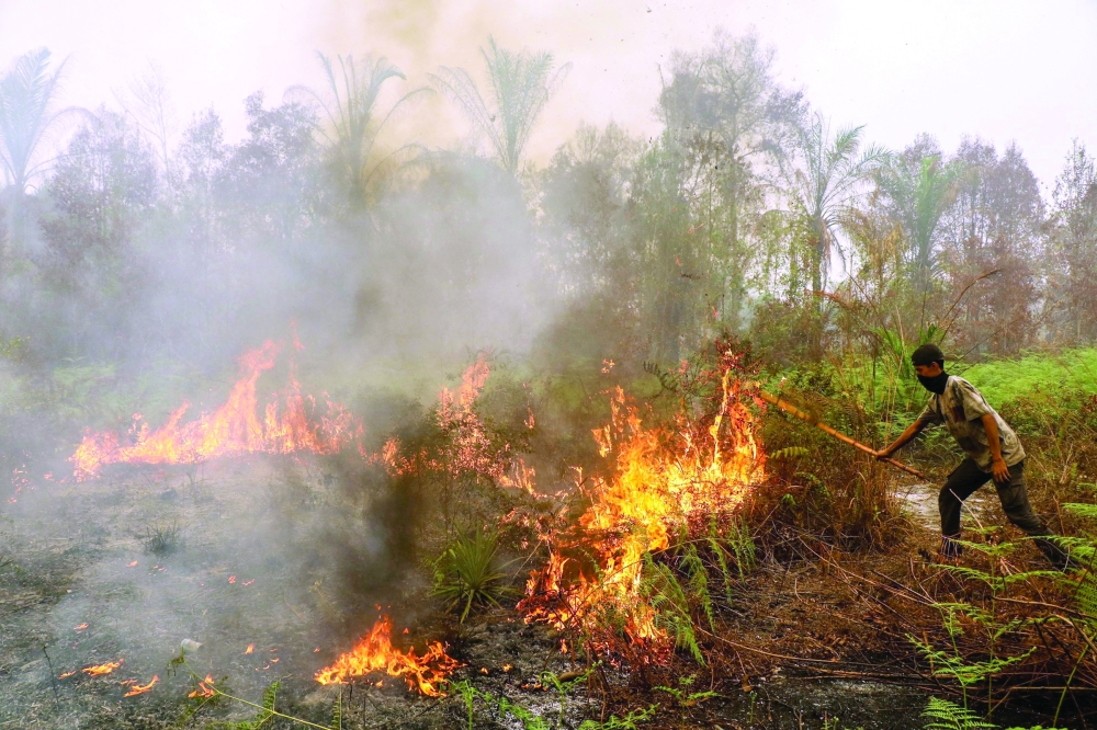 A man uses a stick in an effort to extinguish a wildfire in the Bukit Batu area of Palangkaraya, Central Kalimantan province on October 13, 2026. Toxic haze has shrouded parts of Indonesia, Malaysia and Singapore for weeks as Jakarta struggles to contain fires that have scorched large tracts of Borneo and Sumatra, with the smoke drifting across the region. (Photo by REINA / AFP)
