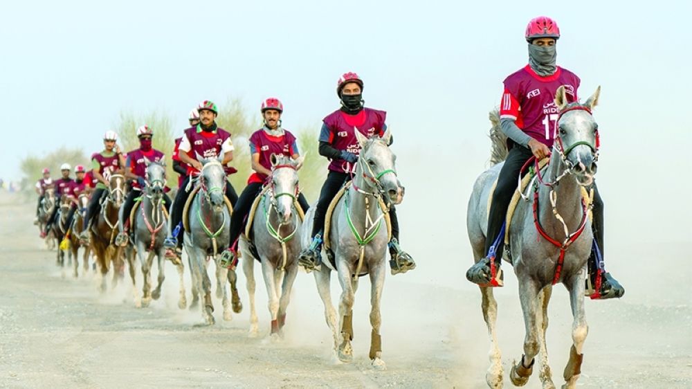 Oman’s 2026-27 endurance riding season got underway on Thursday with the first qualifying ride at Al Mahamid Endurance Village. — Asaad al Badri
