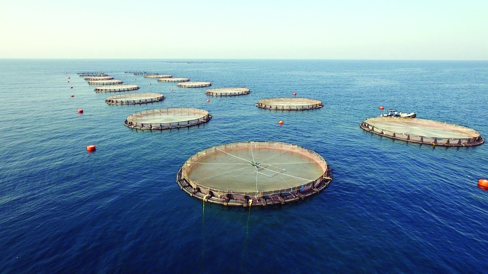 436 projects were implemented or developed between 2021 and 2025, involving investment exceeding RO 1.70 billion.