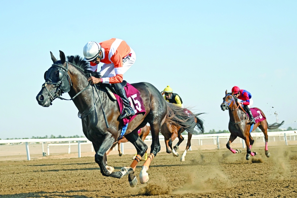 Sahel al Batinah won the fifth race, the Wadi Haibi Stakes for locally bred Arabian horses.  — Mohammed al Balushi
