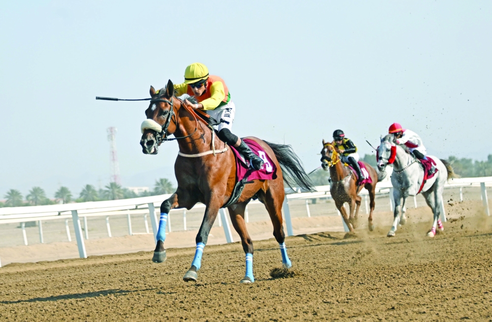 Sound Money won the seventh race, the Wadi Andam Stakes for Thoroughbreds. — Mohammed al Balushi