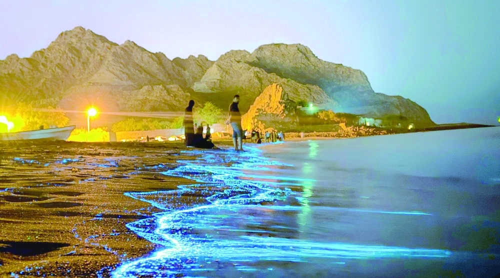The project calls for the importance of stronger collaboration among research institutions, government agencies and industry to improve harmful algal bloom forecasting, develop more effective treatment technologies and strengthen mitigation strategies.