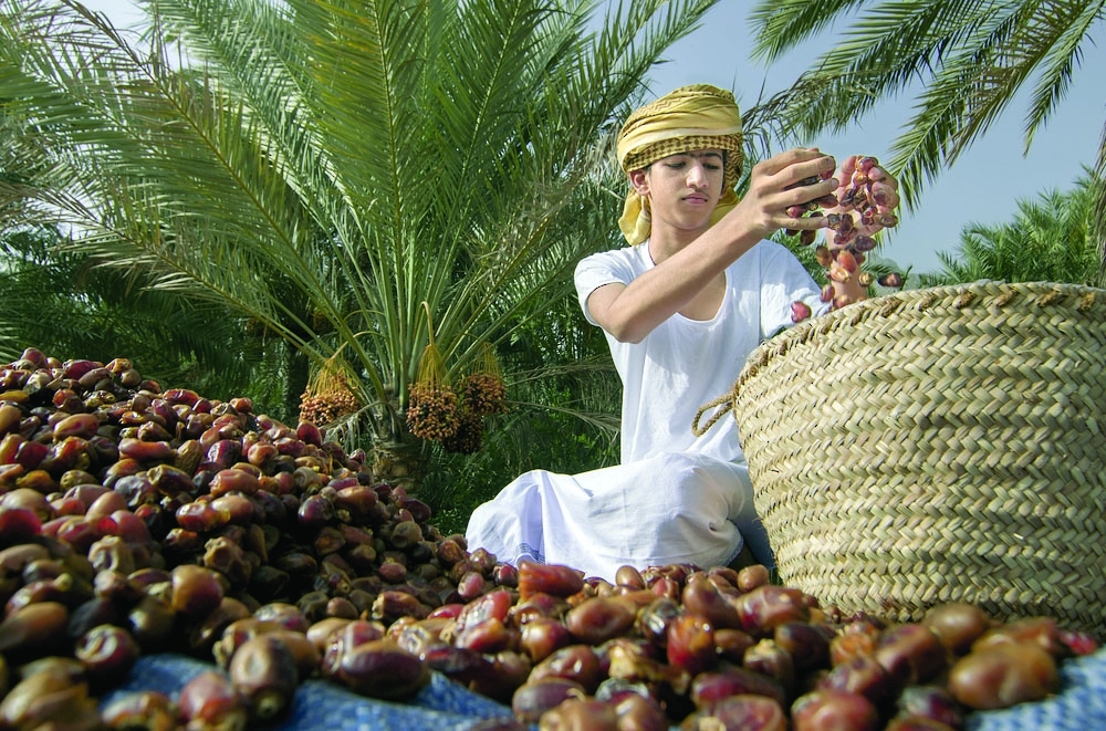 The meeting aims to discuss several topics related to the development of the palm and date sector.