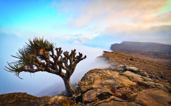 Winter charter flights bring European tourists
