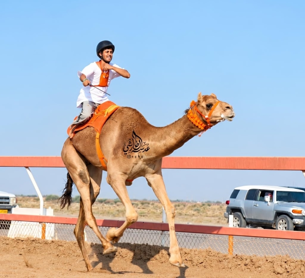 The winner of the 2km human-rider race