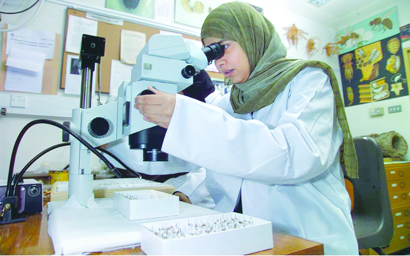 Report on National Strategy for Omani Woman Development