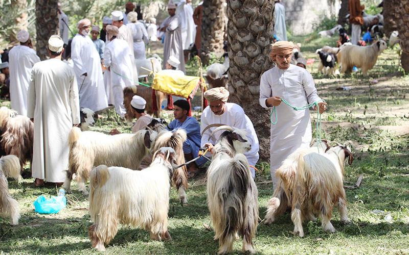 Soroor Eid