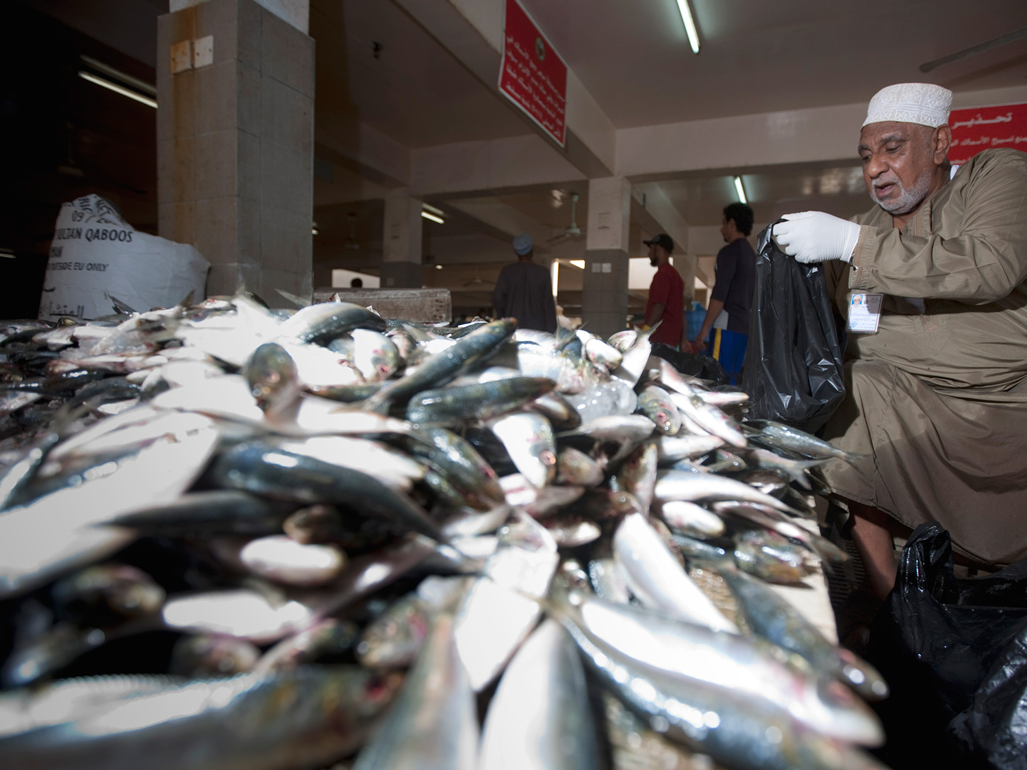 m4336_091210-oman-sail-fish-market-035