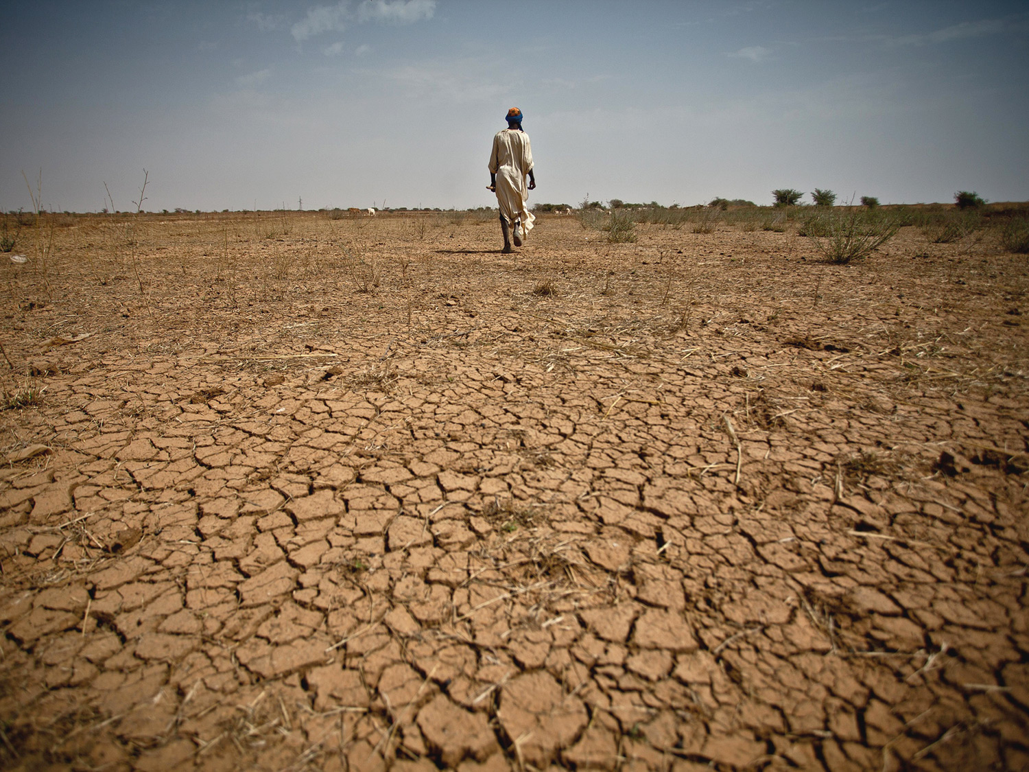 8655301546_122187e9e2_k