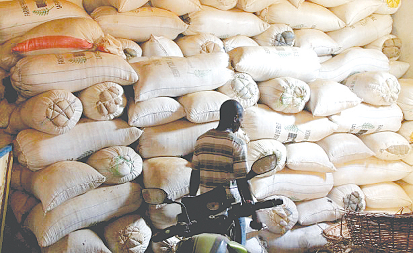 Nigeria’s ‘plastic rice’ real but inedible - Oman Observer