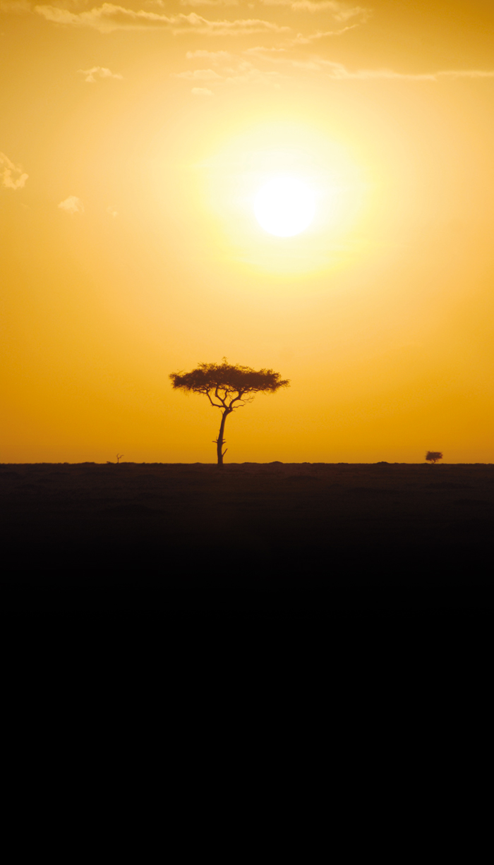 africa-1854028