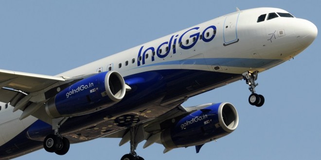 indigo