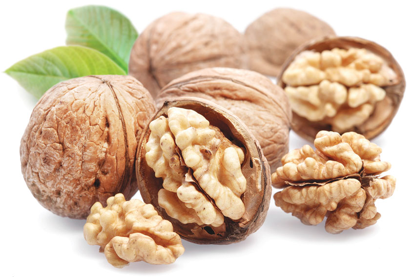 Consuming walnuts may be beneficial for fertility Oman Observer