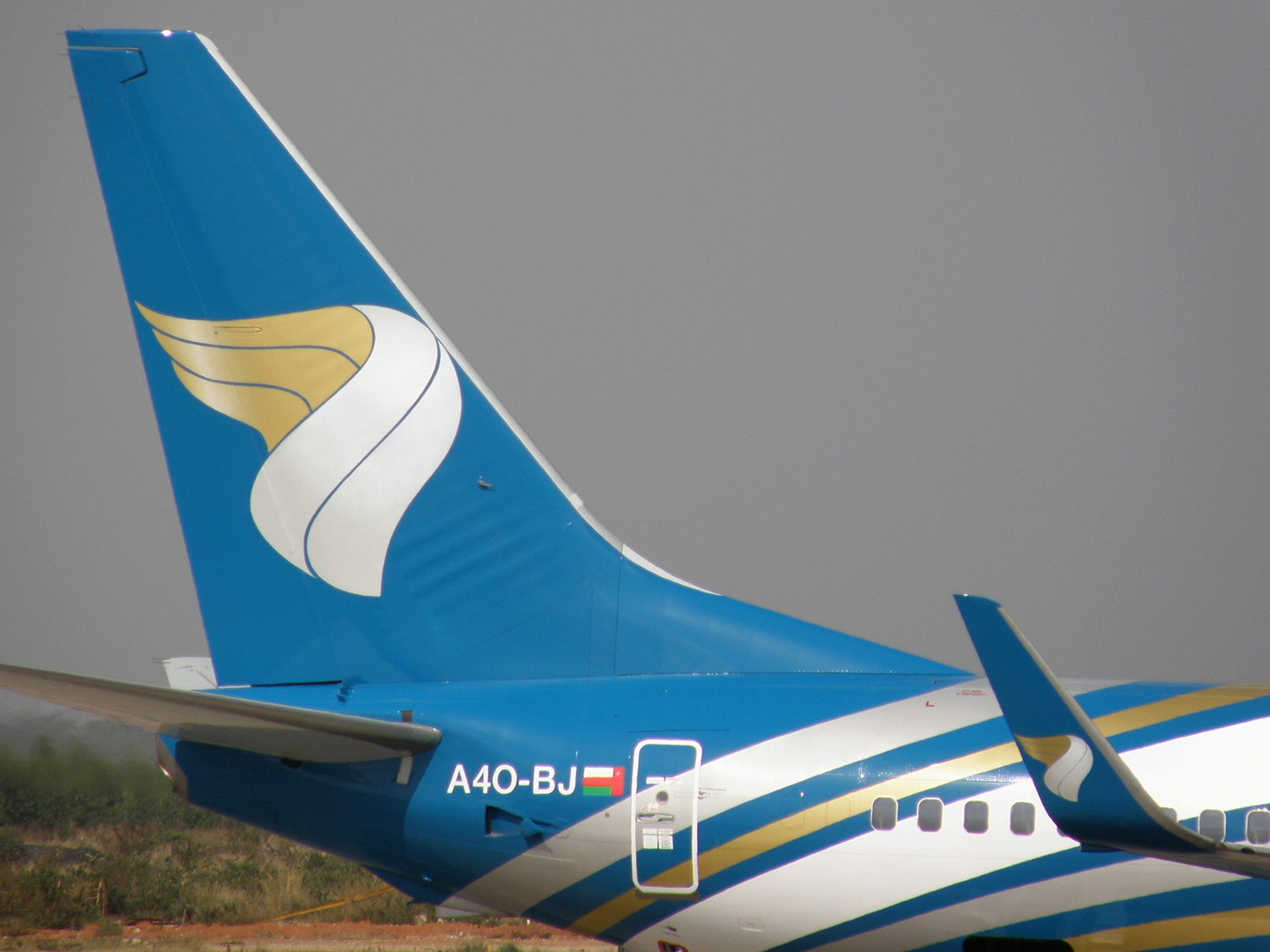 Oman_Air_tail