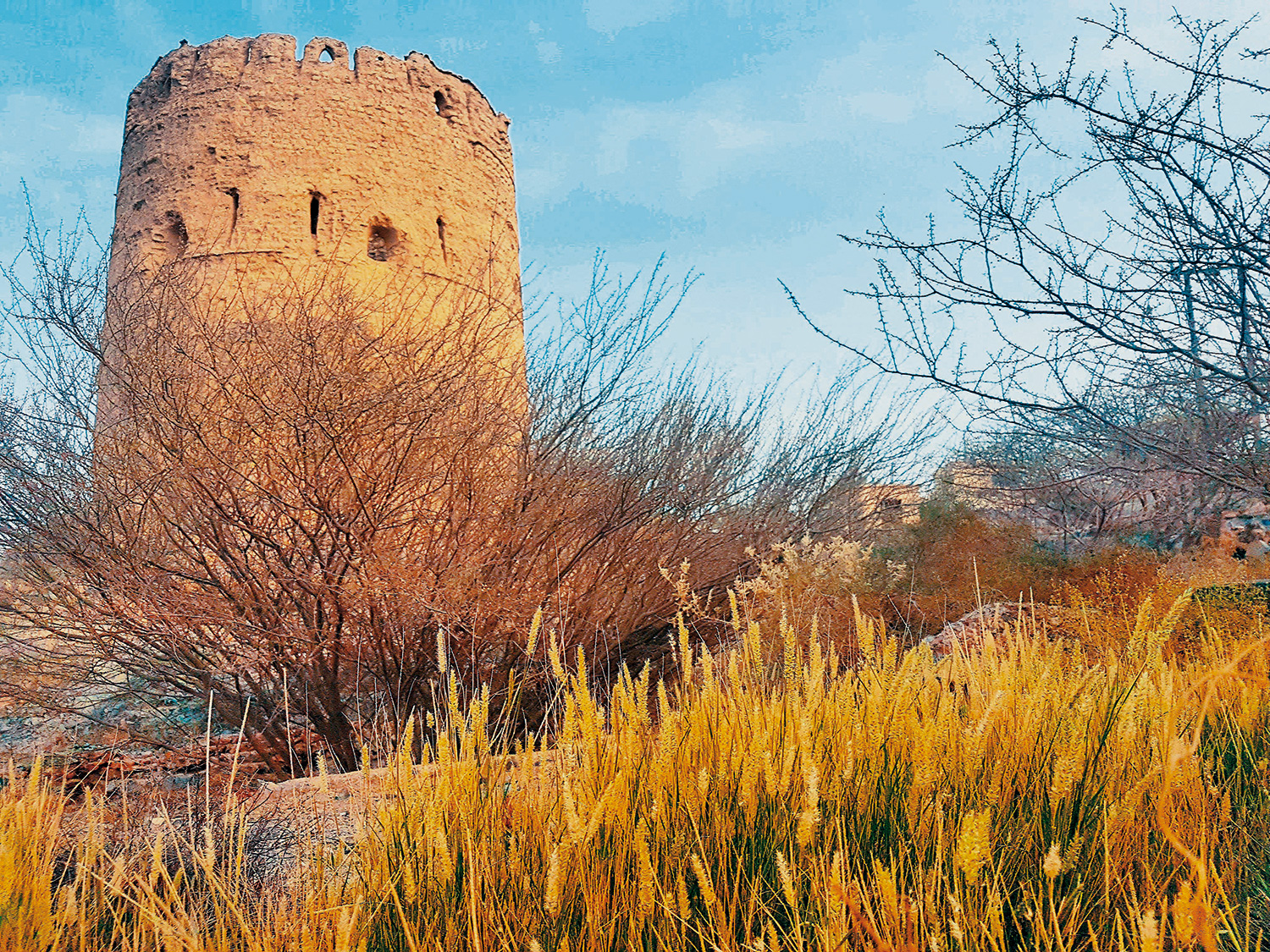 C360_2017-05-01-09-49-36-240