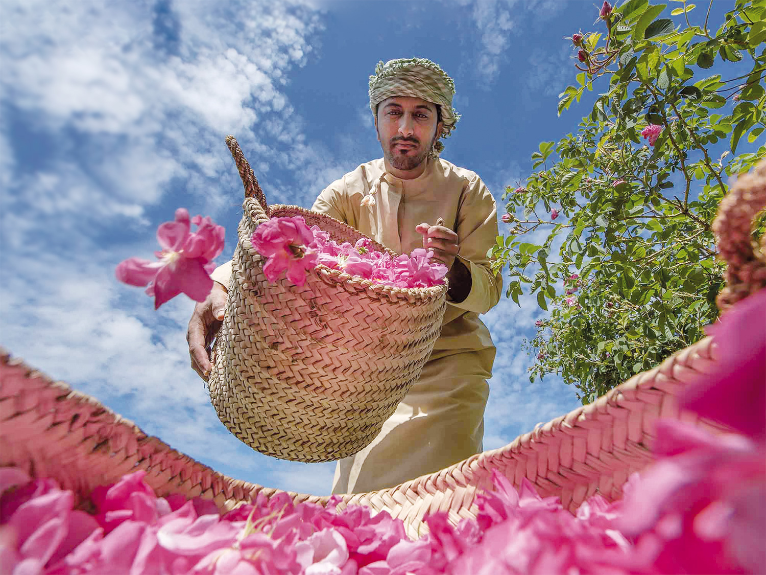 qais-alhajri-O09_roses-of-Basket-