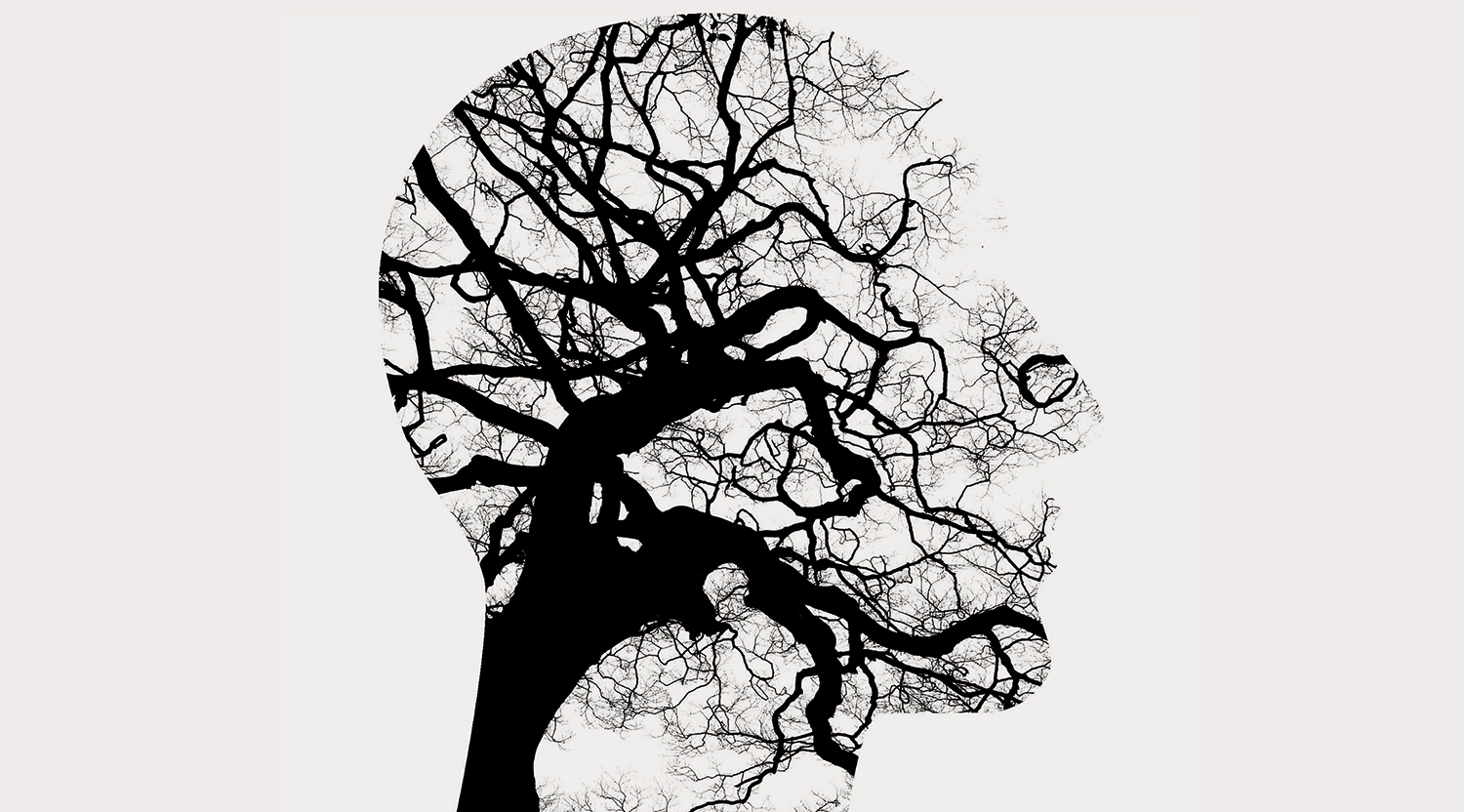 mental-health-2313430_1920